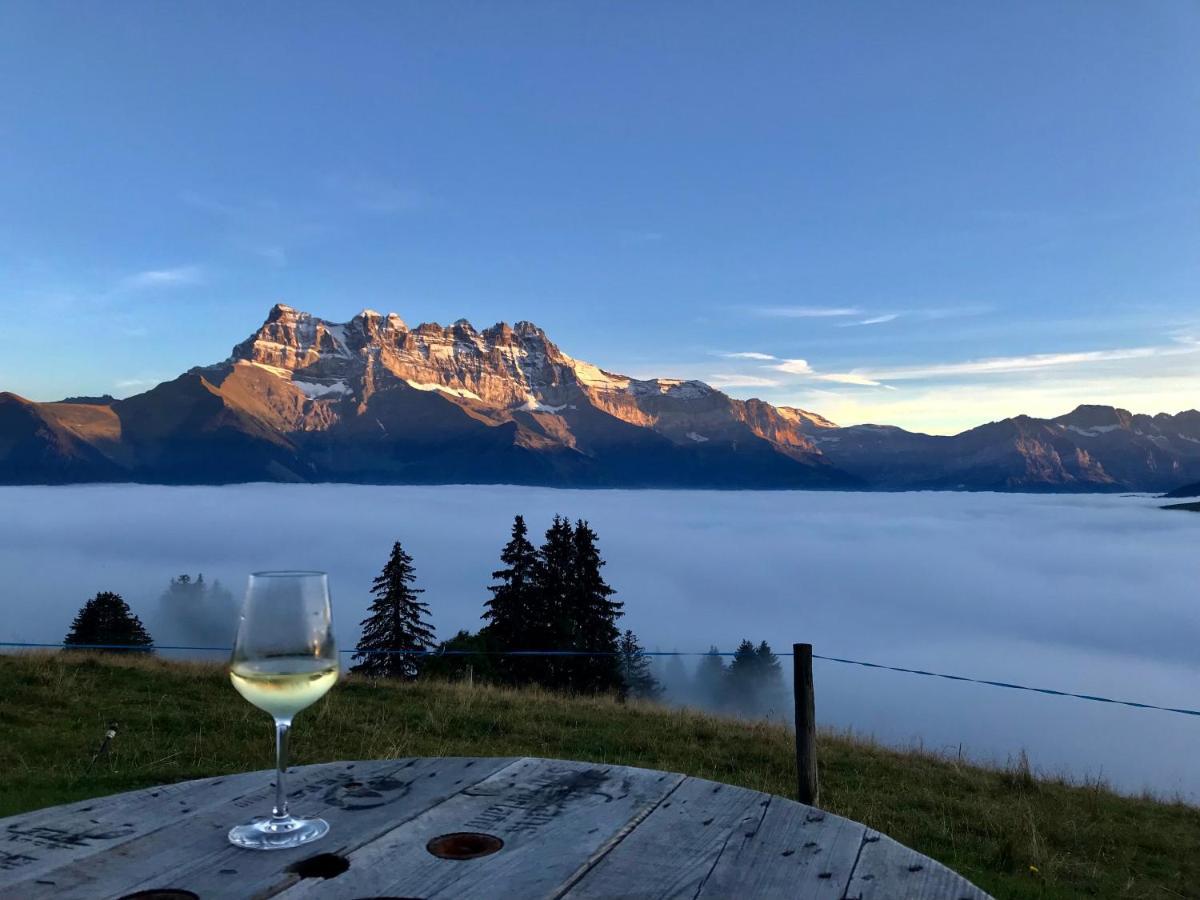 Chalet Chanso Morgins Exterior photo